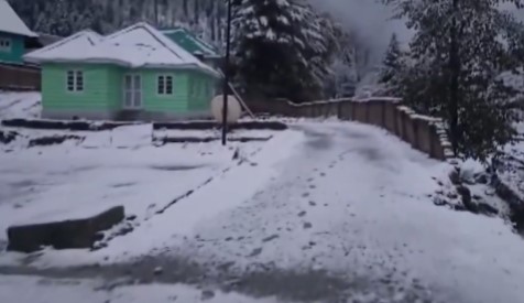 'Higher Reaches of Kashmir Remain Draped in White After Fresh Overnight Snowfall'