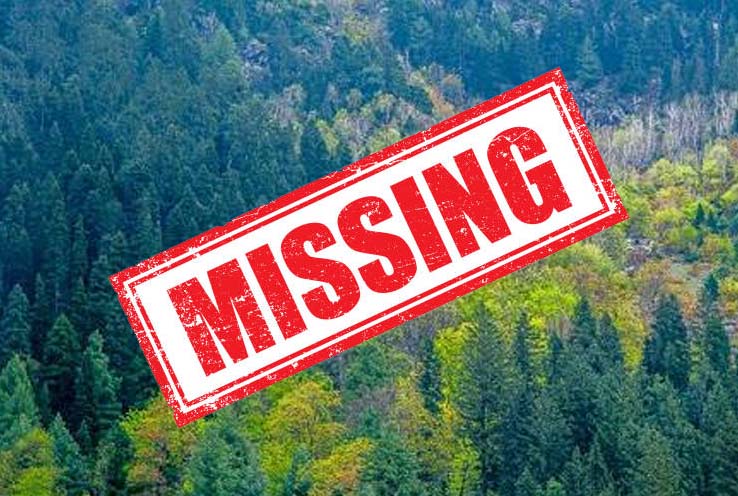 'Two Srinagar boys go missing during trekking in Ganderbal forest'