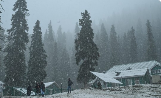 'Fresh Snowfall in Gulmarg as Rain Lowers Temperatures Across Kashmir'